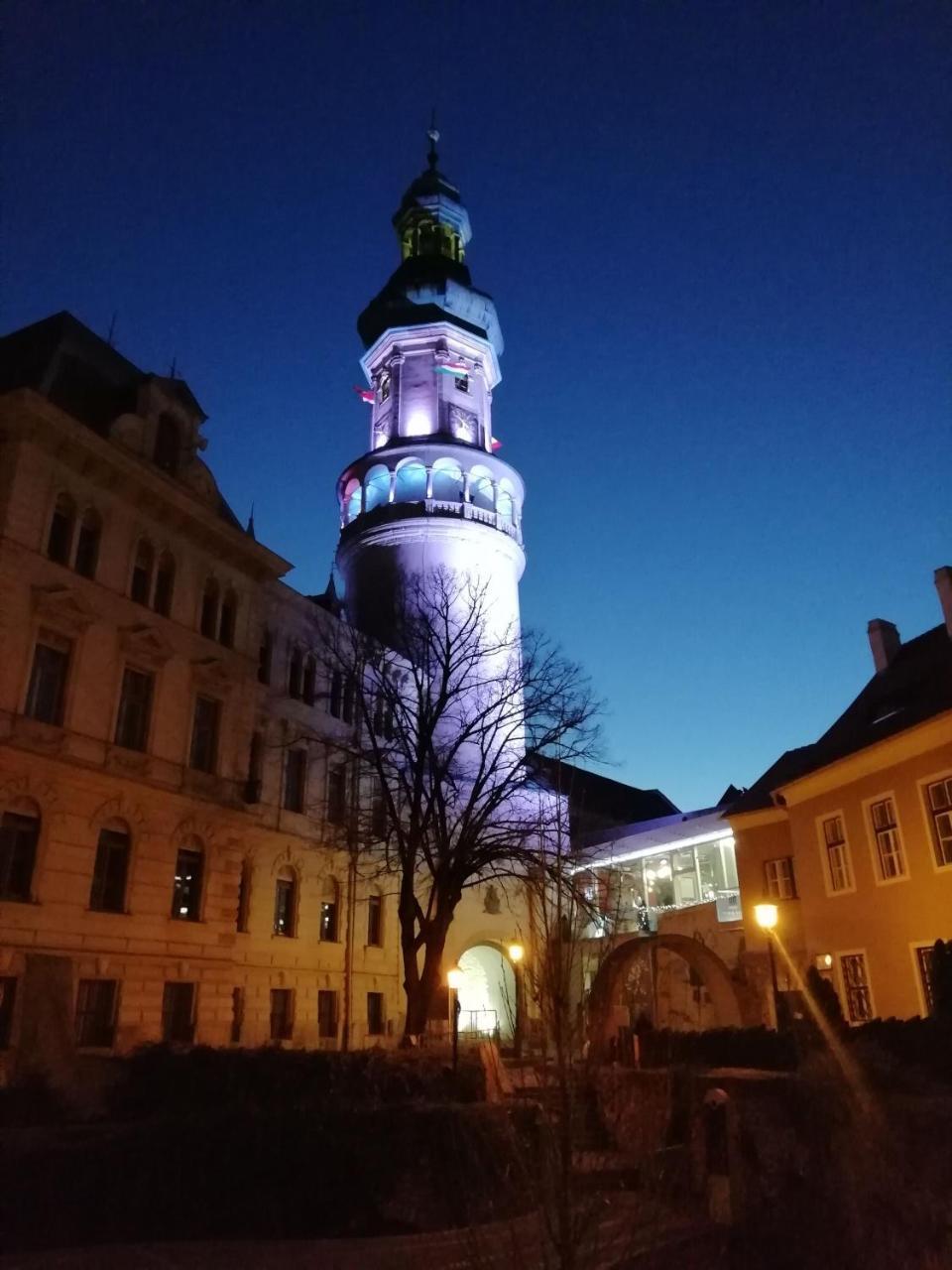 Appartement Fueredi Haz Apartman à Sopron Extérieur photo