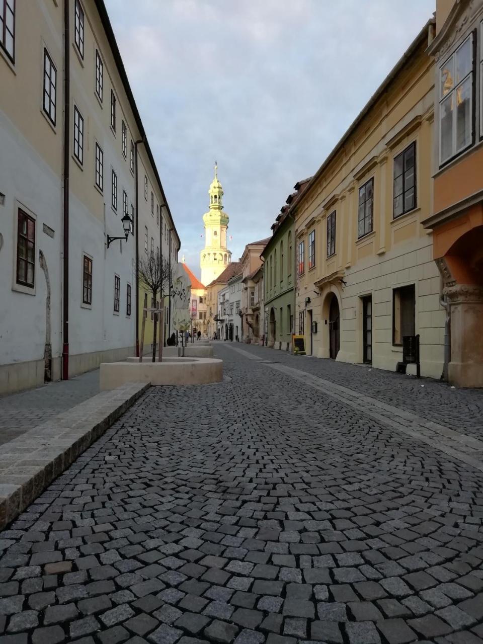 Appartement Fueredi Haz Apartman à Sopron Extérieur photo